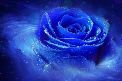 蓝色妖姬在线观看,网络奇缘,揭秘虚拟世界的爱情传奇 第3张 蓝色妖姬在线观看,网络奇缘,揭秘虚拟世界的爱情传奇 第3张